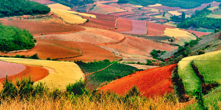 6 Days Yunnan Photo Tour to Dongchuan Red Land