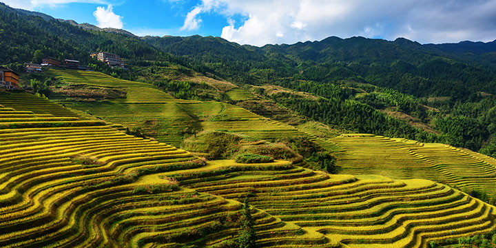 One Day Longji Terraces & Minority Village Tour from Guilin