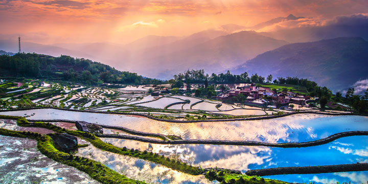 Yuanyang Rice Terraces