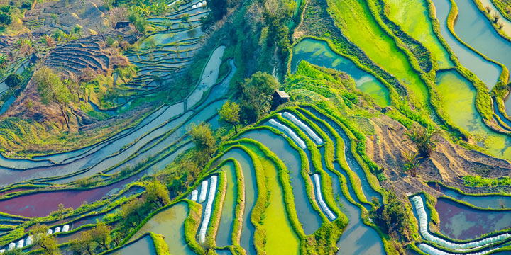 7 Days Yunnan Yuanyang Rice Terraces Tour